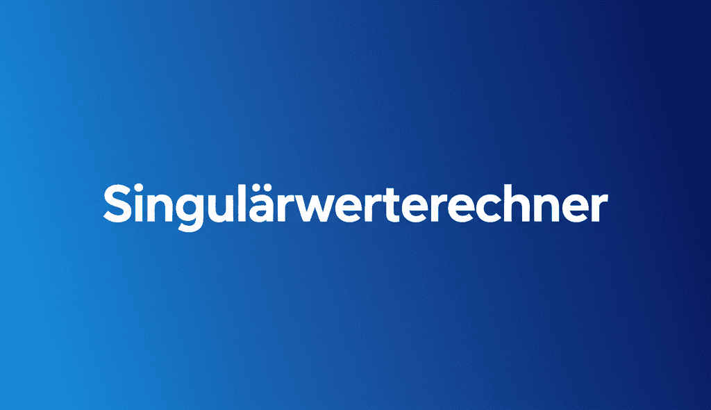 Singulärwerterechner Bildschirmdarstellung